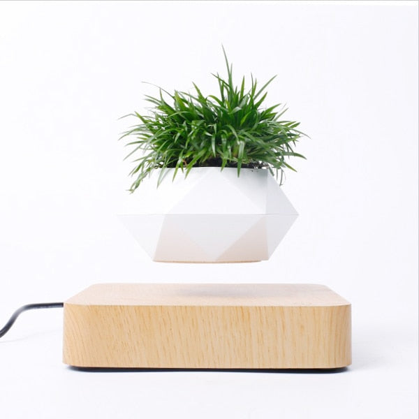 Levitating Air Bonsai Pot